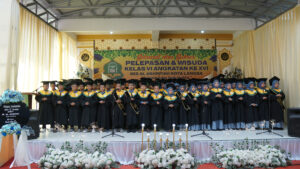 MSD00913 1